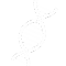 品牌文化与策略（DNA）